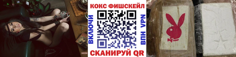 COCAIN Columbia  где купить наркоту  Суджа 