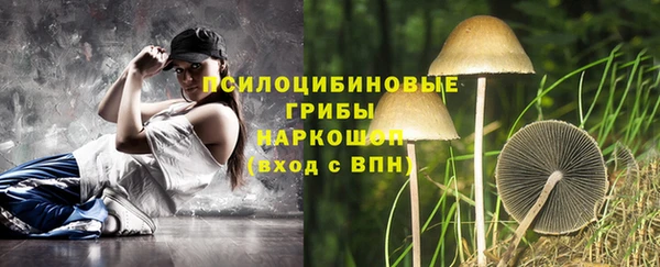 ПСИЛОЦИБИНОВЫЕ ГРИБЫ Балахна