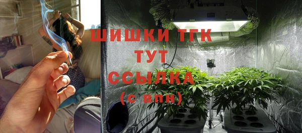 ПСИЛОЦИБИНОВЫЕ ГРИБЫ Балахна