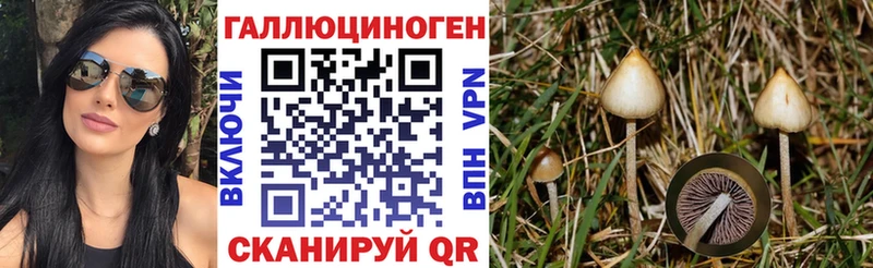 цена наркотик  блэк спрут зеркало  Галлюциногенные грибы Cubensis  Суджа 