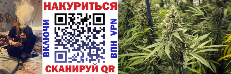 это как зайти  Суджа  Канабис сатива 